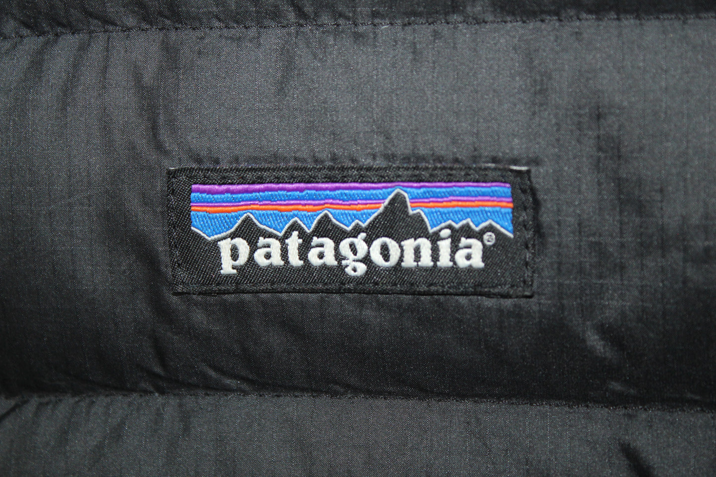 Chaqueta de Plumas Patagonia (L)