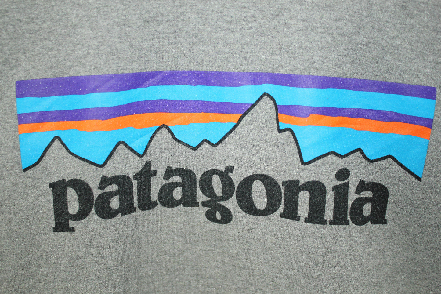 Sudadera Patagonia (M)