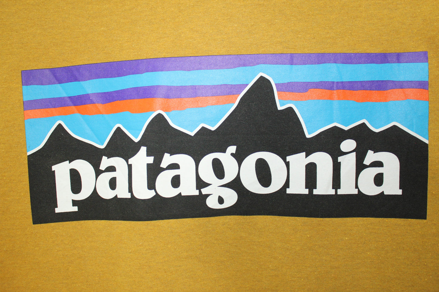 Camiseta Patagonia (S)