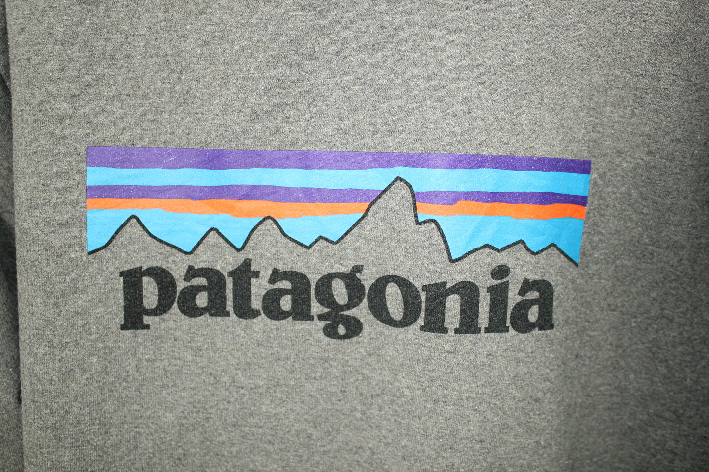 Sudadera Patagonia (M)