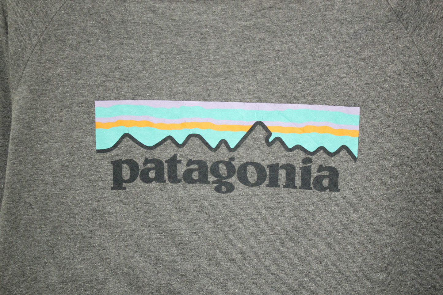 Camiseta Patagonia (XS)