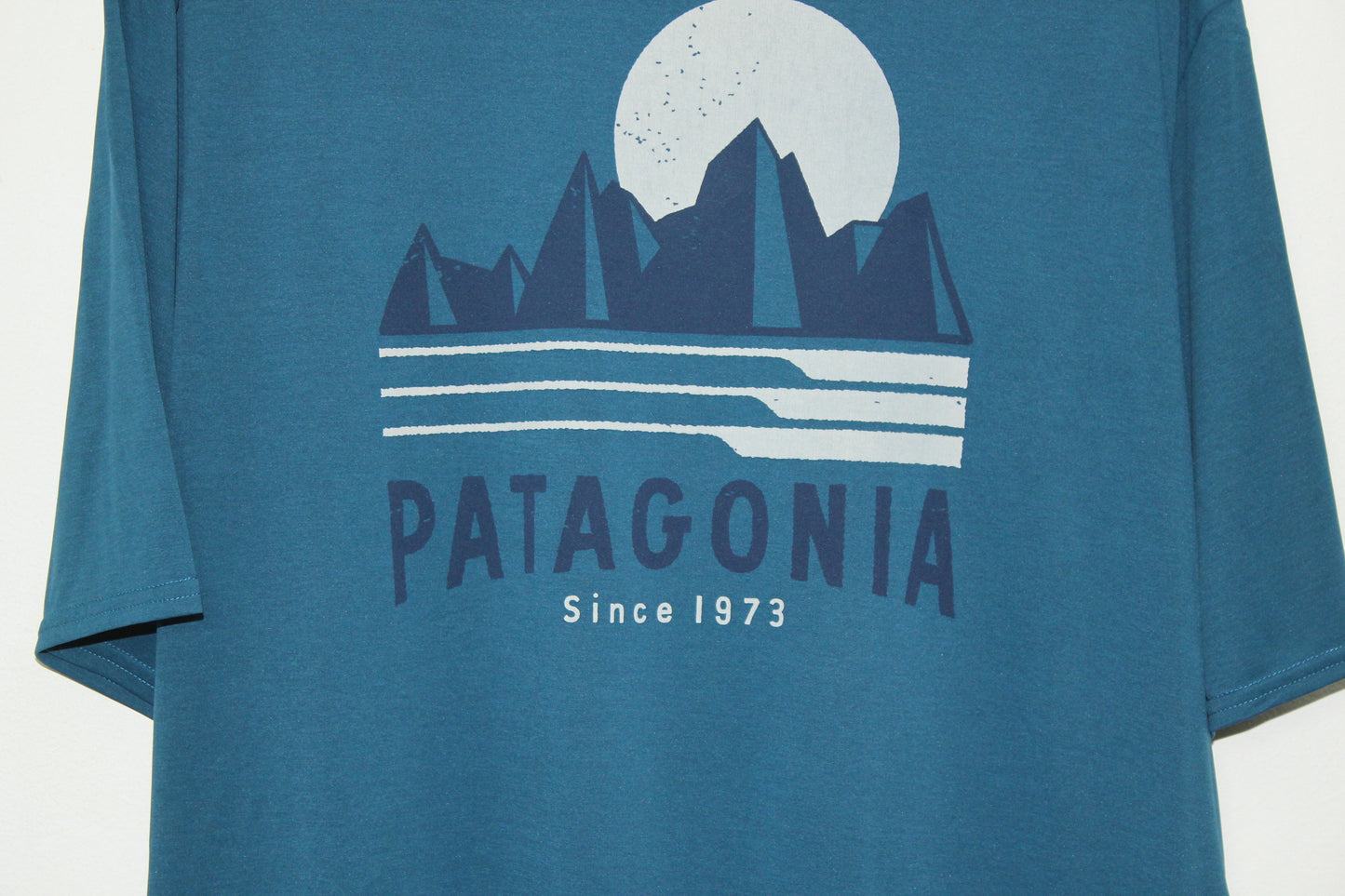 Camiseta Patagonia (XL)