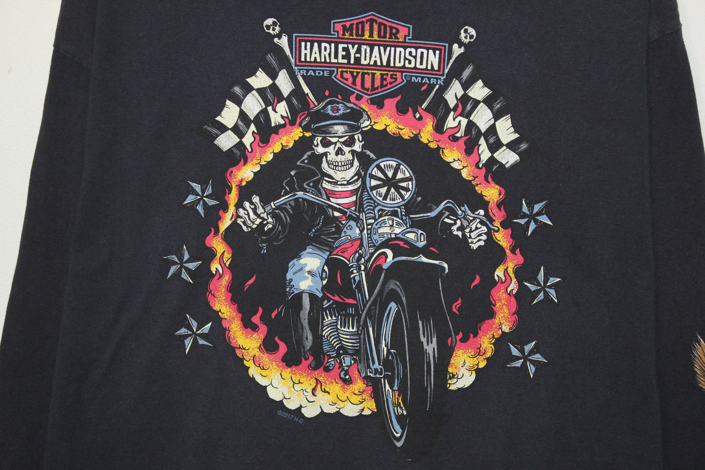 Camiseta Mangas Largas Harley Davidson (XL)