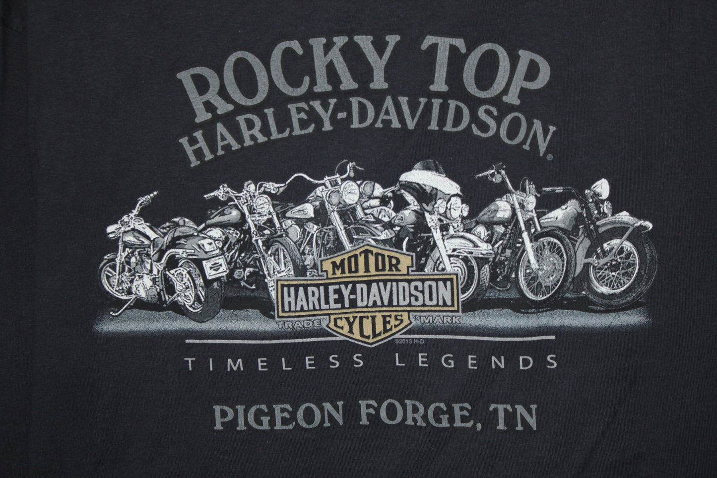 Camiseta Mangas Largas Harley Davidson (XL)