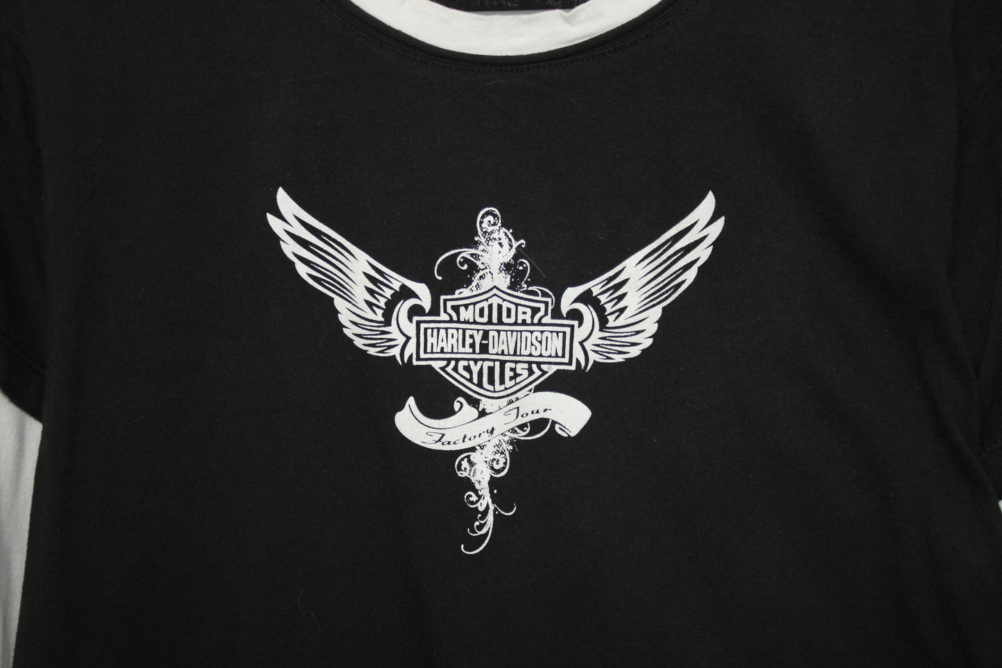 Camiseta Mangas Largas Harley Davidson (XL)