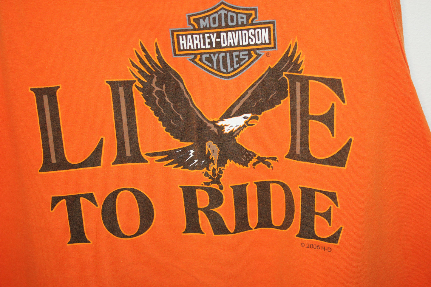 Camiseta Harley Davidson (M)