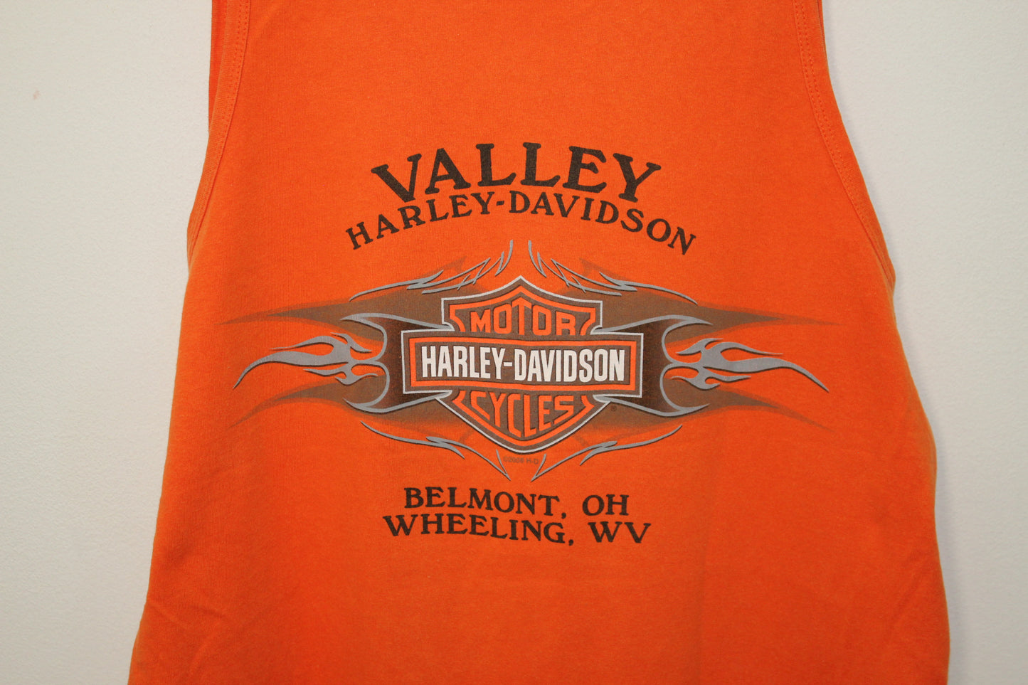 Camiseta Harley Davidson (M)