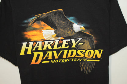 Camiseta Harley Davidson (L)