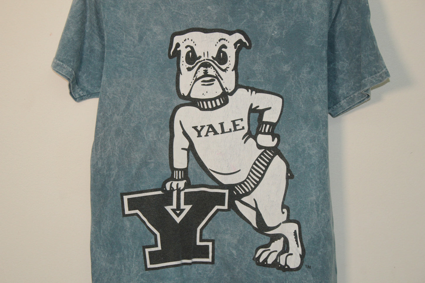 Camiseta Yale University (S)